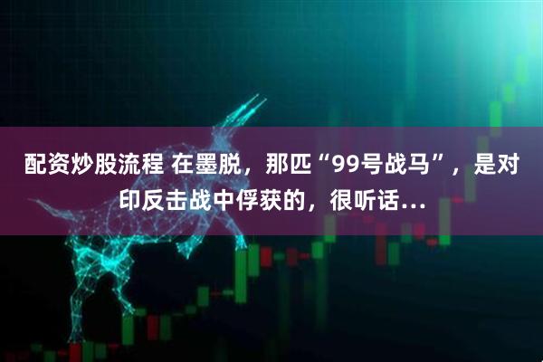 配资炒股流程 在墨脱，那匹“99号战马”，是对印反击战中俘获的，很听话…