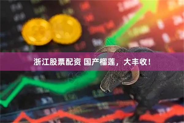 浙江股票配资 国产榴莲，大丰收！